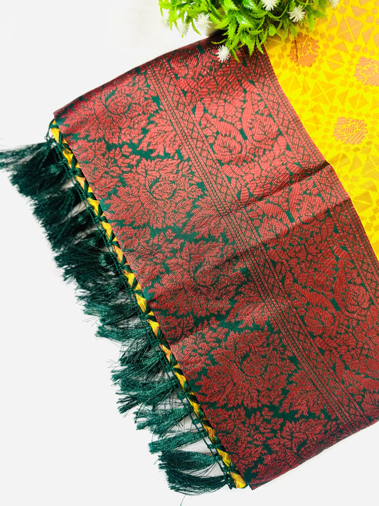 SAI-PALLAVI SAREE
