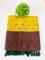 SAI-PALLAVI SAREE - Image 2