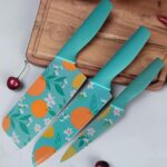 Kitchen Knife Stainless Steel 3 Pieces Professional Knife Set with Color Printing and Non-Slip Handle